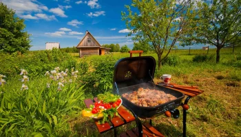 Дачный сезон на Урале официально начался